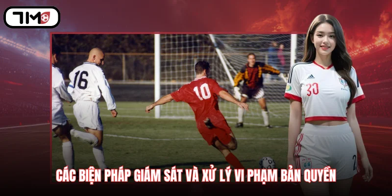 Các biện pháp giám sát và xử lý vi phạm bản quyền