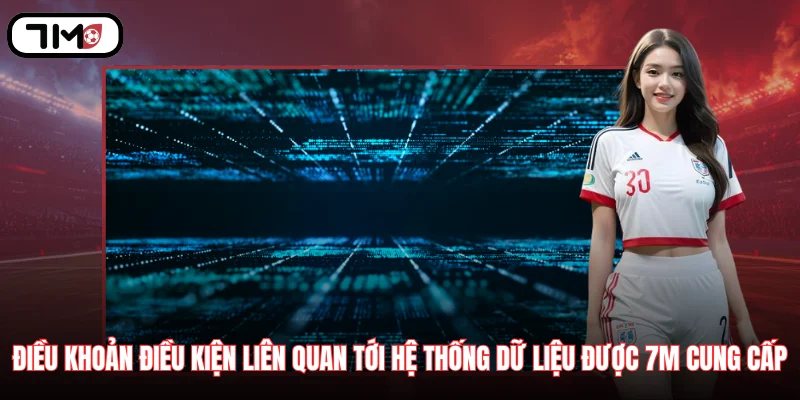 Điều khoản điều kiện liên quan tới hệ thống dữ liệu được 7M cung cấp