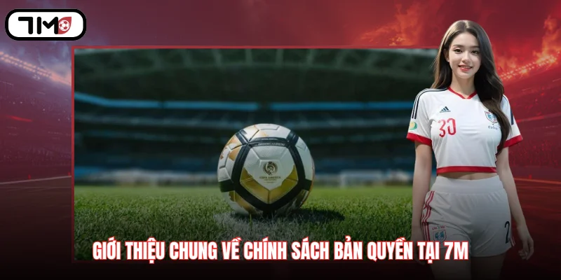 Giới thiệu chung về chính sách bản quyền tại 7M