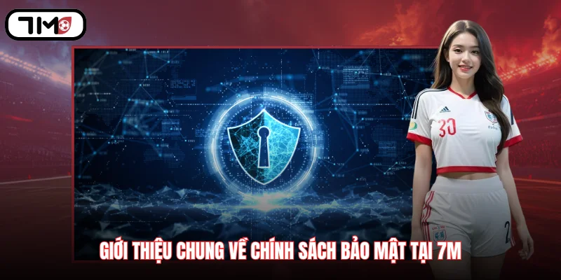 Giới thiệu chung về chính sách bảo mật tại 7M