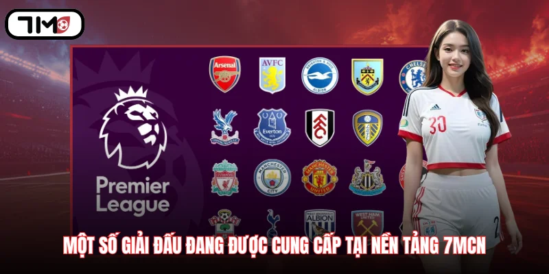 Một số giải đấu đang được cung cấp tại nền tảng 7MCN