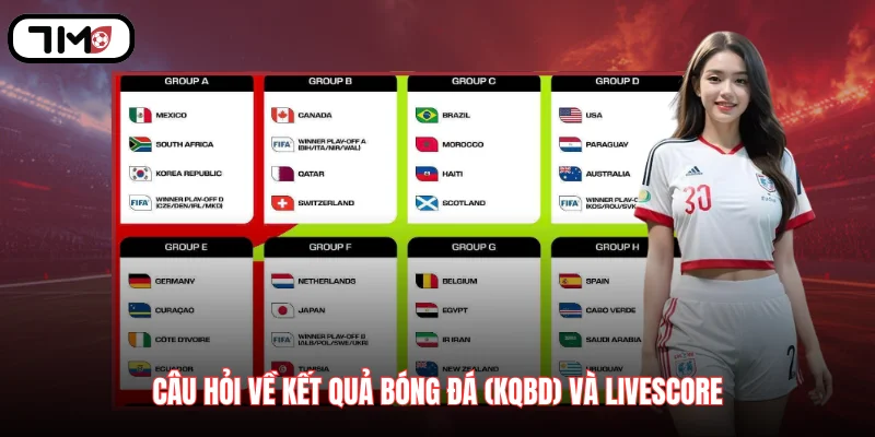 Câu hỏi thường gặp về kết quả bóng đá (KQBD) và Livescore