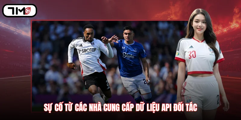 Sự cố từ các nhà cung cấp dữ liệu API đối tác